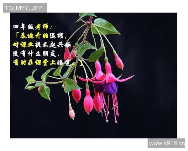 张静的篮球人生深度对话:从球场拼搏到人生哲学的启示与反思 张静的篮球人生深度对话:从球场拼搏到人生哲学的启示与反思